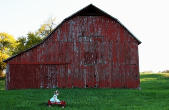 Enlarge photo 31