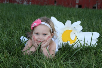 Enlarge photo 65
