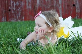 Enlarge photo 67
