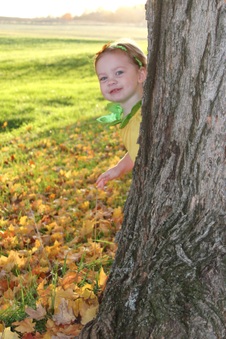 Enlarge photo 84