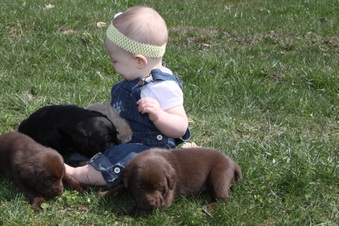 Enlarge photo 2