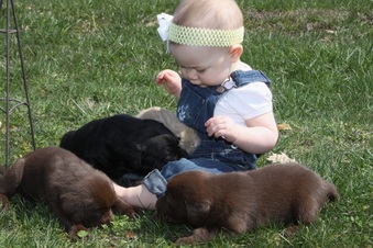 Enlarge photo 4
