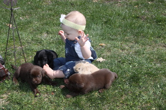 Enlarge photo 9