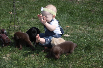 Enlarge photo 10