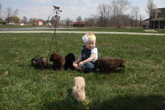 Enlarge photo 15