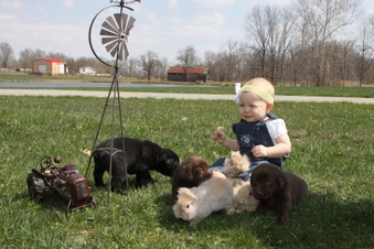 Enlarge photo 21