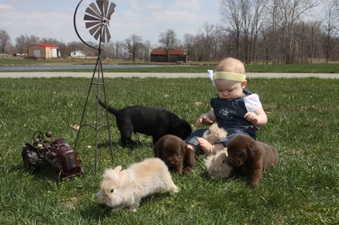 Enlarge photo 23
