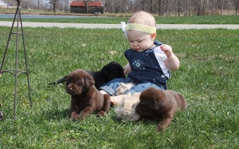 Enlarge photo 25