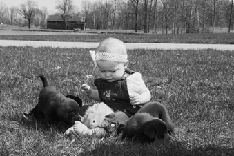 Enlarge photo 28