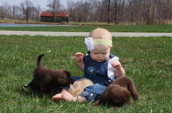 Enlarge photo 30