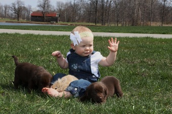 Enlarge photo 32