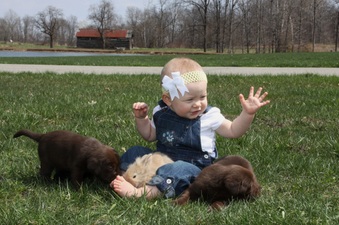 Enlarge photo 33