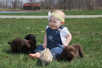 Enlarge photo 35