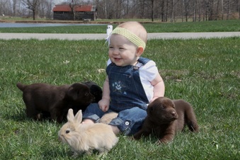 Enlarge photo 36