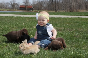 Enlarge photo 37