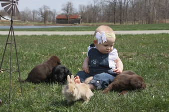 Enlarge photo 38