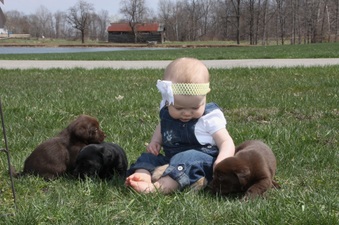 Enlarge photo 39