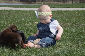Enlarge photo 40