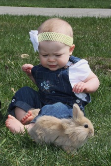 Enlarge photo 41