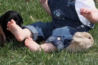 Enlarge photo 42