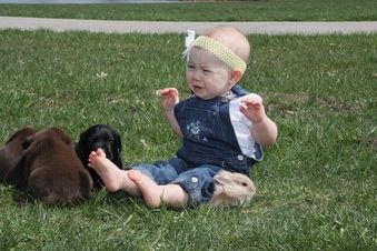 Enlarge photo 43