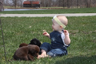 Enlarge photo 45