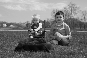 Enlarge photo 92