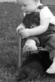Enlarge photo 104