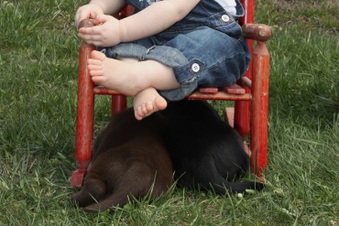 Enlarge photo 117
