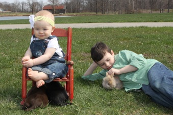 Enlarge photo 120