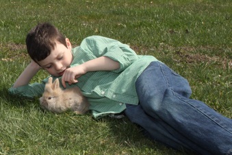 Enlarge photo 121