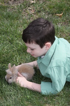 Enlarge photo 151