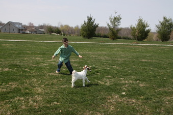 Enlarge photo 189