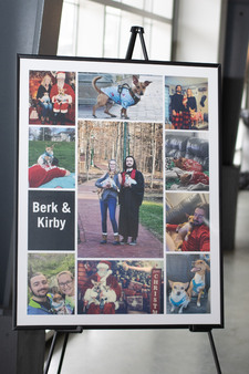 Enlarge photo 289