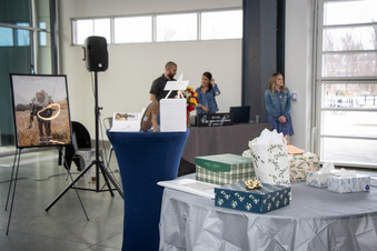 Enlarge photo 383