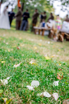 Enlarge photo 334