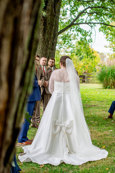 Enlarge photo 352