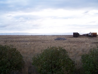 Enlarge photo 67