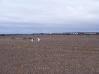 Enlarge photo 62