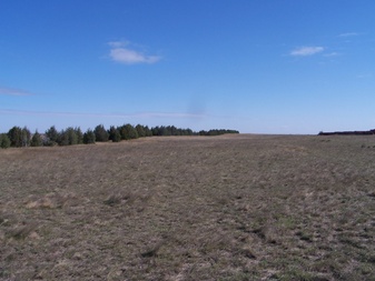 Enlarge photo 59