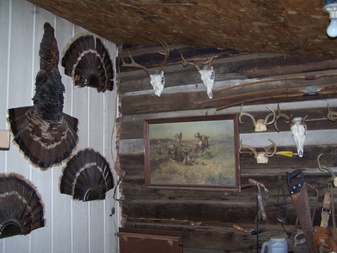 Enlarge photo 57