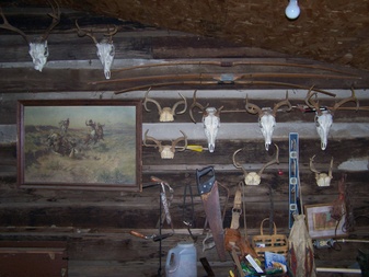 Enlarge photo 55