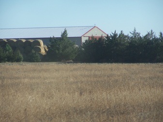 Enlarge photo 44