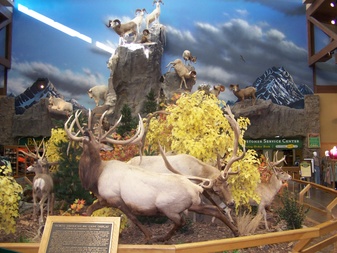 Enlarge photo 33