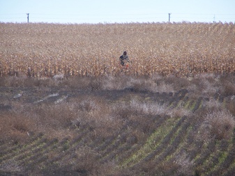 Enlarge photo 23