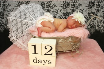 Annabelle 12 days
