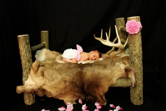 Enlarge photo 29
