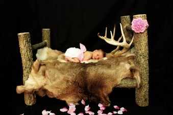 Enlarge photo 30