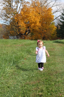 Enlarge photo 40