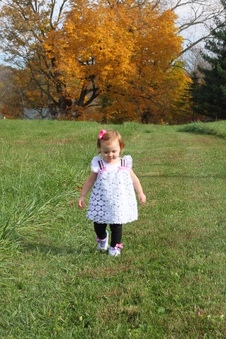 Enlarge photo 41